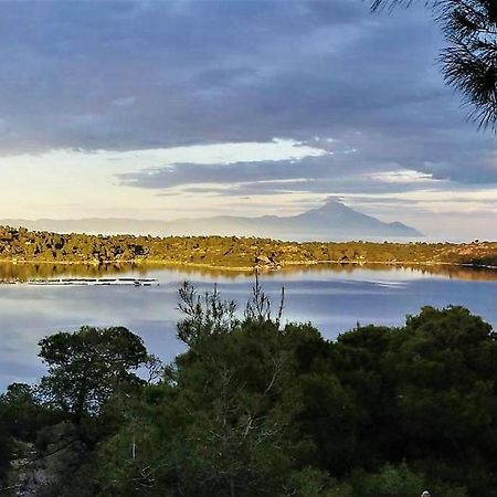 Wood & Stone Dream View House B Villa Diaporos Luaran gambar
