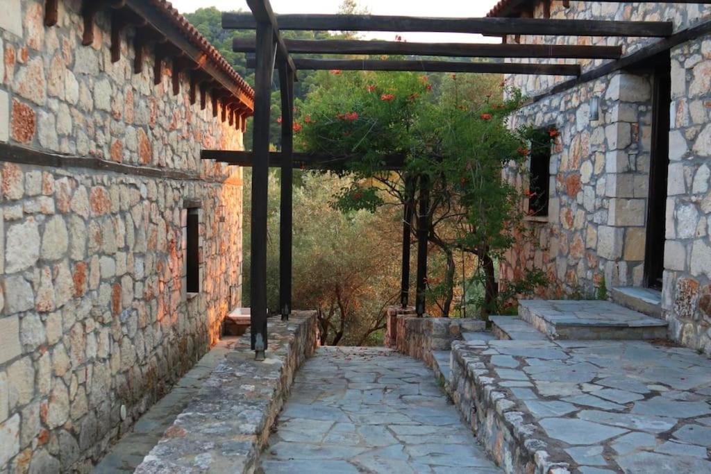 Wood & Stone Dream View House B Villa Diaporos Luaran gambar
