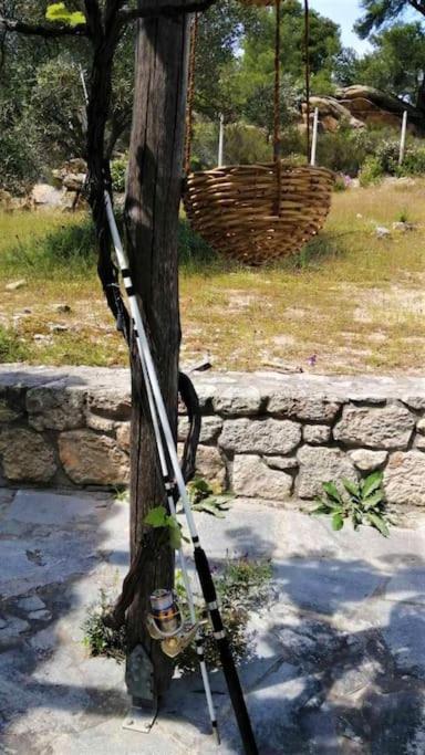 Wood & Stone Dream View House B Villa Diaporos Luaran gambar