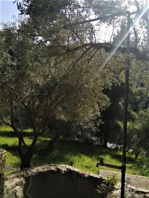 Wood & Stone Dream View House B Villa Diaporos Luaran gambar