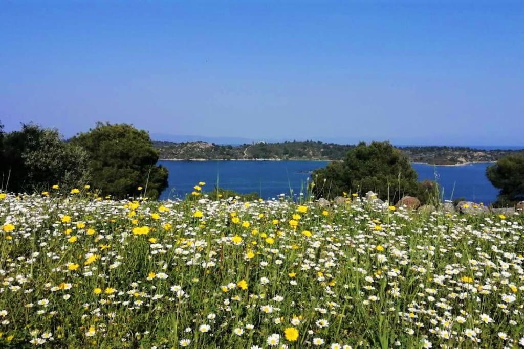 Wood & Stone Dream View House B Villa Diaporos Luaran gambar