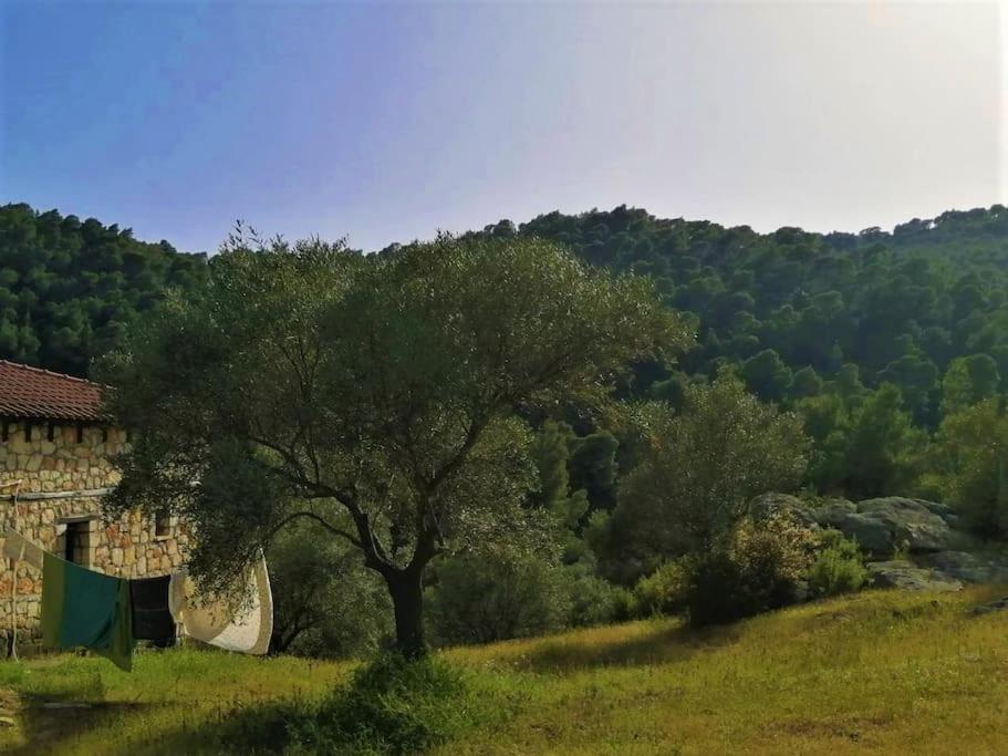 Wood & Stone Dream View House B Villa Diaporos Luaran gambar