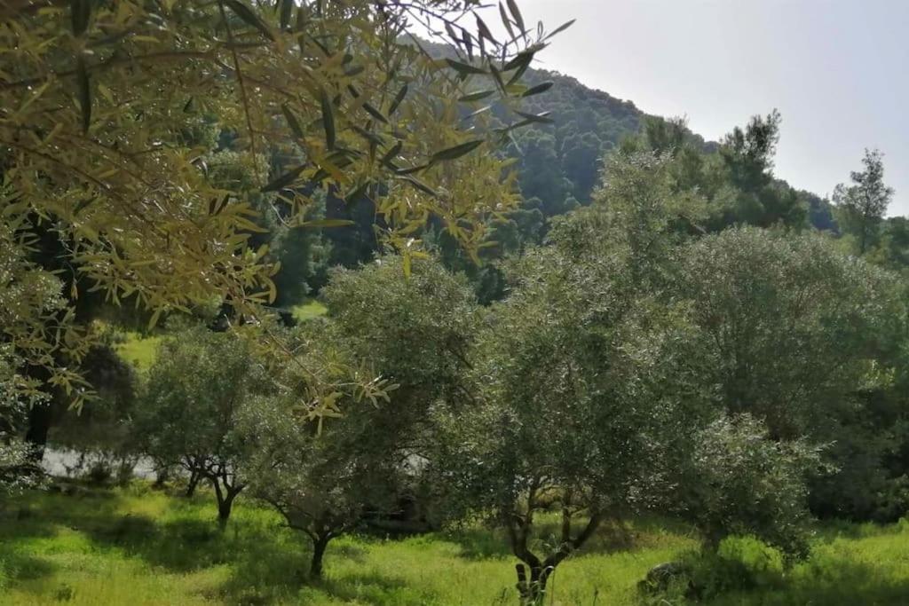 Wood & Stone Dream View House B Villa Diaporos Luaran gambar