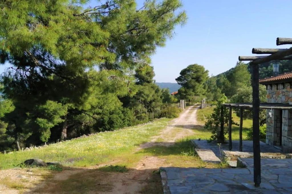 Wood & Stone Dream View House B Villa Diaporos Luaran gambar