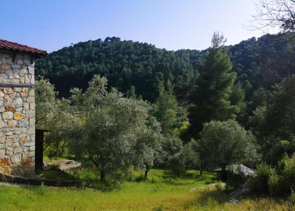 Wood & Stone Dream View House B Villa Diaporos Luaran gambar
